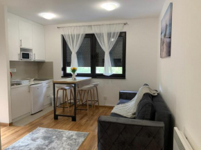Apartman Milana